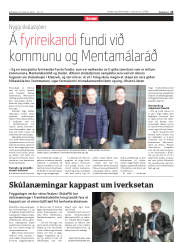 Síða 13