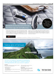 Síða 29