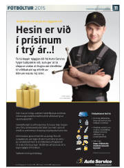 Síða 43