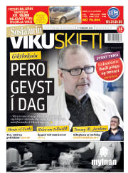 Síða 1