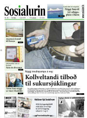 Síða 1
