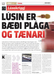 Síða 12