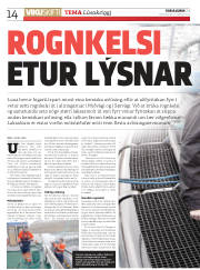Síða 14