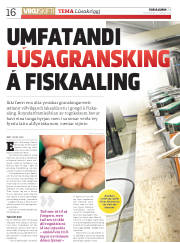 Síða 16