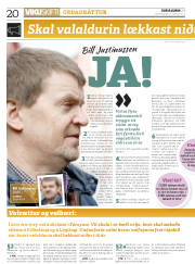 Síða 20