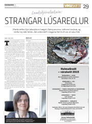 Síða 29