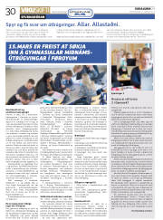 Síða 30
