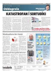 Síða 2
