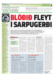 Síða 12