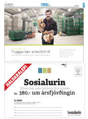 Síða 25