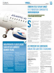Síða 29