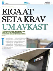 Síða 30