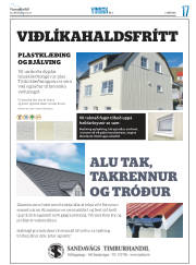 Síða 33