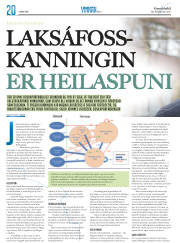 Síða 36
