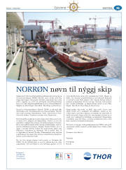 Síða 51