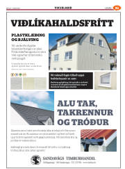 Síða 61