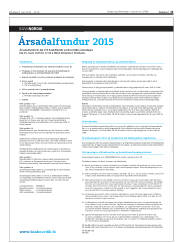 Síða 13