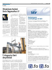 Síða 21