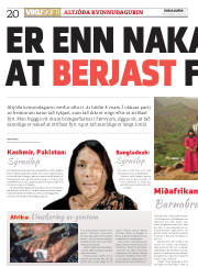 Síða 20