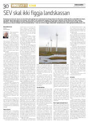 Síða 30