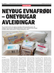 Síða 6