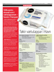Síða 7