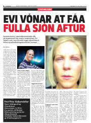 Síða 8
