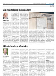 Síða 15
