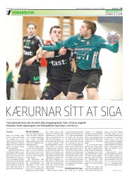 Síða 29
