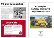 Síða 8