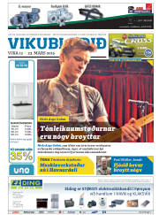 Síða 41