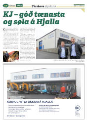Síða 60