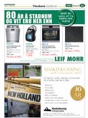 Síða 61