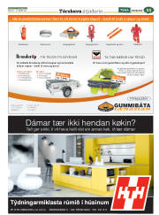 Síða 65