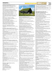 Síða 21