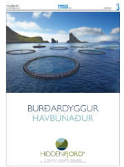 Síða 19