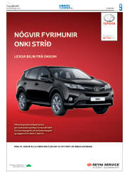 Síða 25