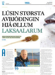 Síða 28