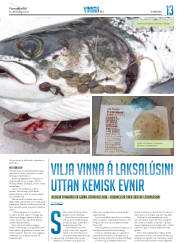 Síða 29