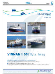Síða 31