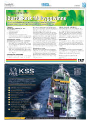 Síða 35
