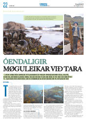 Síða 38