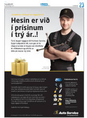 Síða 39
