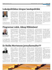 Síða 31