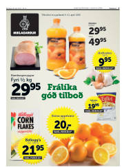 Síða 3