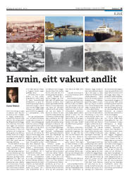 Síða 19