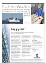 Síða 25