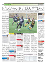 Síða 29
