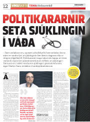 Síða 12