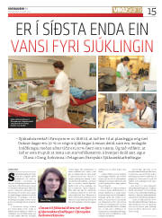 Síða 15
